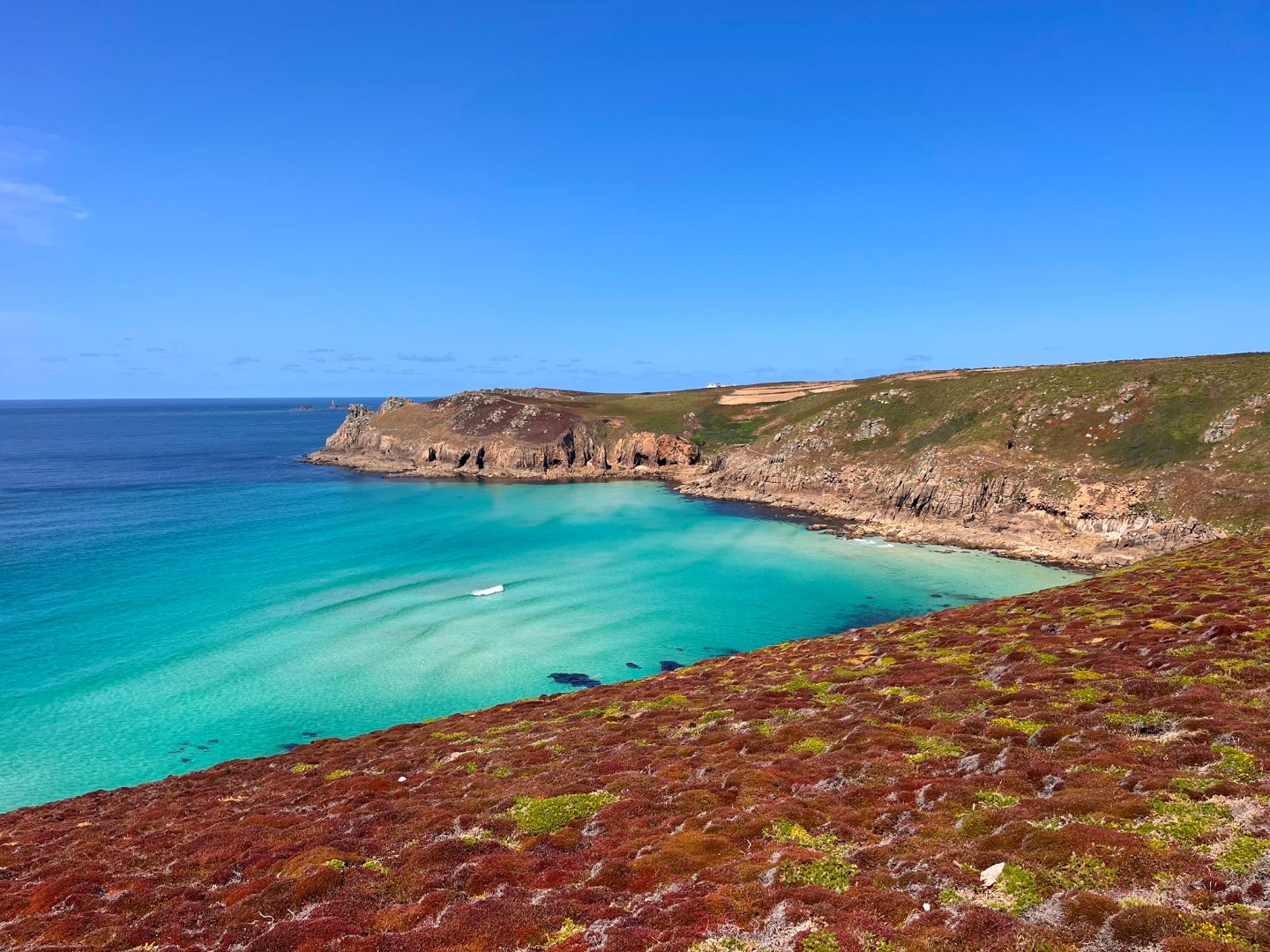 Turquoise sea in a granite cove on the West Cornwall coast, with clifftop heather in the foreground